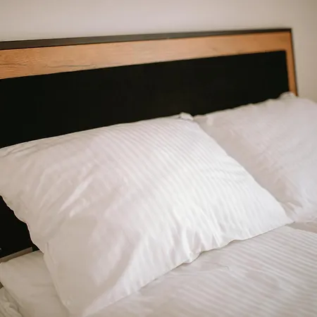 Villa Nowoczesny Drewniany Chill House