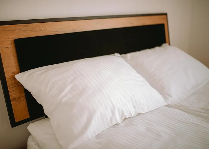 ヴィラ Nowoczesny Drewniany Chill House